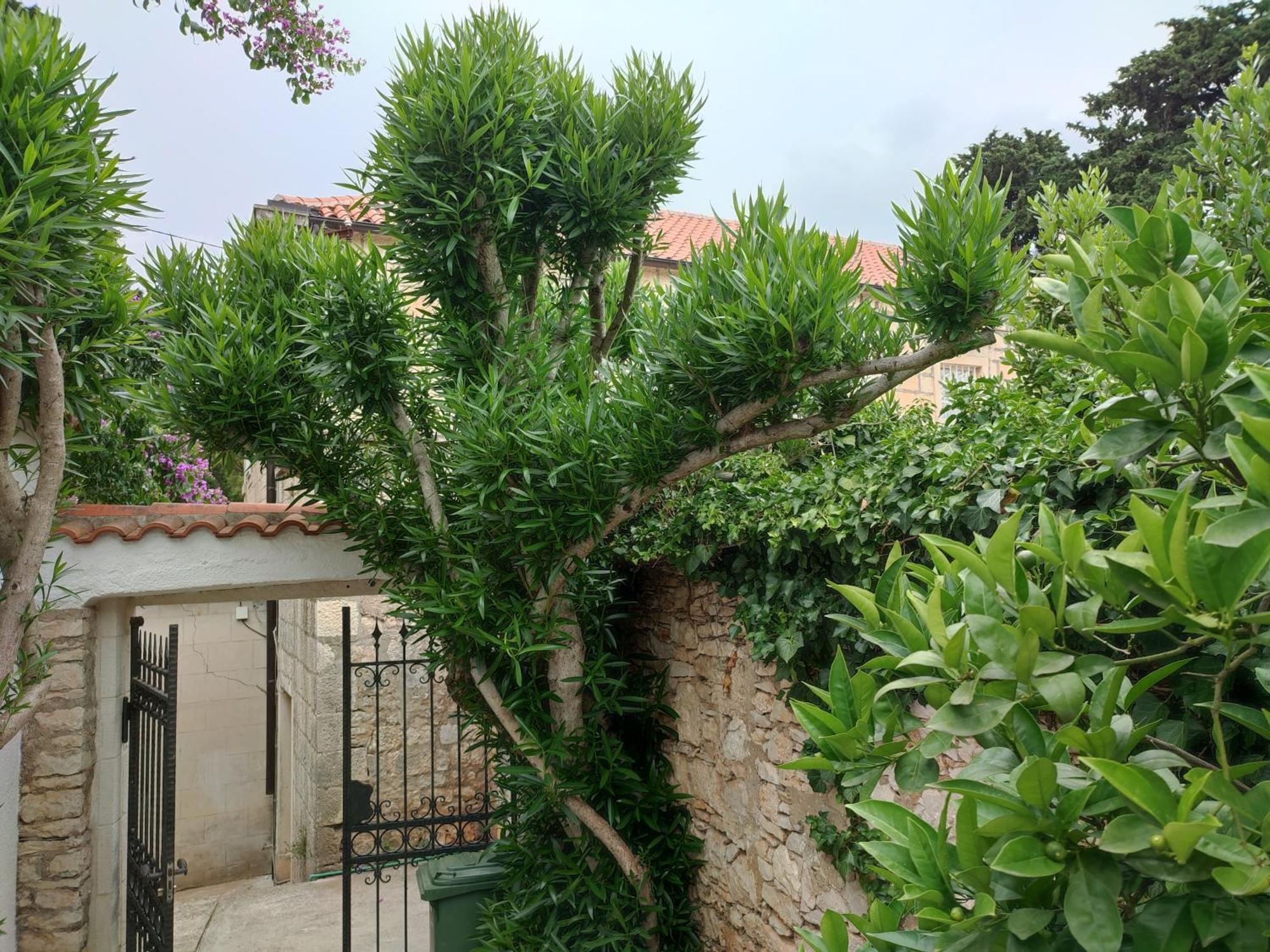 Villa Rustika Сутіван Екстер'єр фото